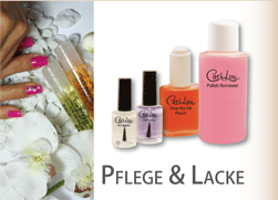 Pflegeprodukte und Lacke